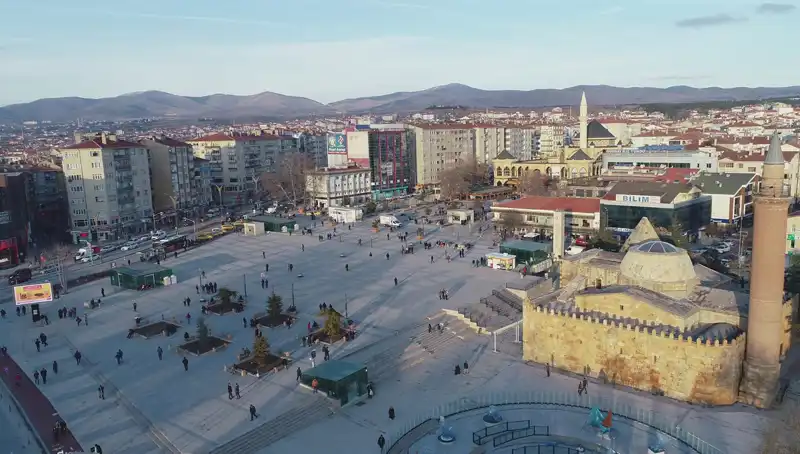 Kırşehir’de Keşfedilen Yeni Böcek Türü Doğa Bilimlerine Işık Tutuyor