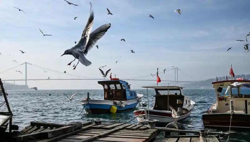 İstanbul'da Bahar Havası Geliyor: Tarih Belli Oldu