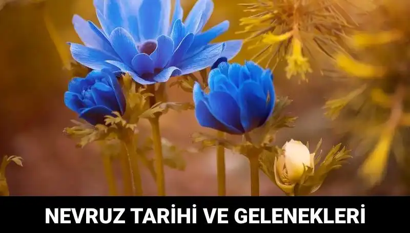 Nevruz Bayramı: Kültürel Zenginlikler ve Geleneksel Kutlamalar