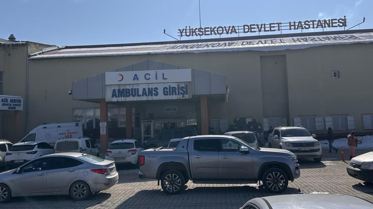 Köpek Saldırısında Hayatını Kaybeden Çocuk İçin Müfettiş Görevlendirildi