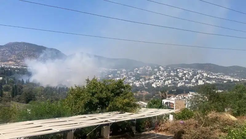Muğla Orman Yangınları: Kontrol Altında, Doğa Yeniden Canlanıyor