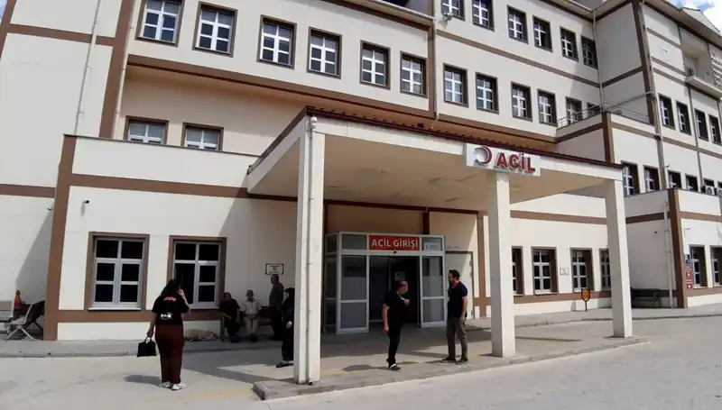 Bolu’da Ayı Avı Kararı: Doğa Koruma mı, Avcılıkla Mücadele mi?