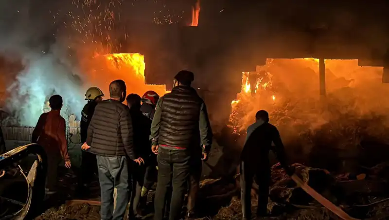 Bolu’da Büyük Ahır Yangını: 50’yi Aşkın Hayvan Telef Oldu
