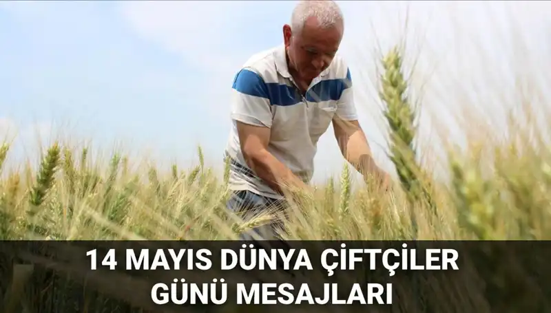 Dünya Çiftçiler Günü: Toprağın Kahramanlarına En Anlamlı Mesajlar