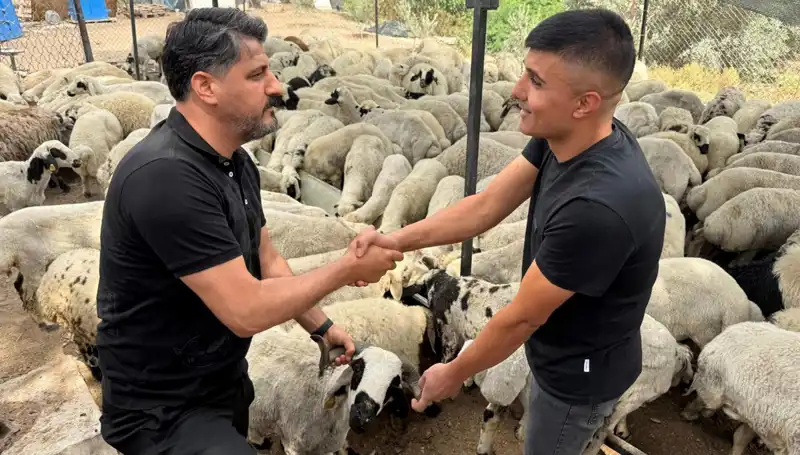 Kurbanlık Alımında Tuz ve Sumak Tehlikesine Dikkat Edin!