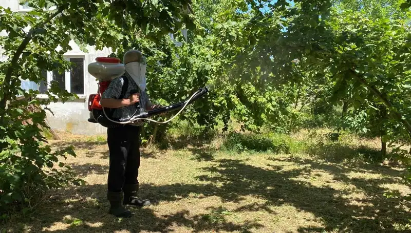 Kükürt ve Samuray Arısı: Çiftçilerin Umut Işığı Olma Mücadelesi